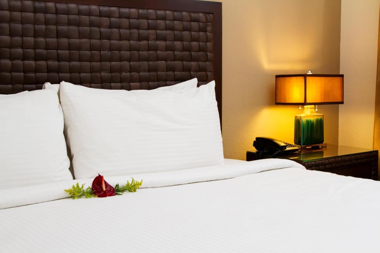 Rincon Del Valle Hotel & Suites San José Extérieur photo